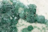 Green Fluorescent Cubic Fluorite Crystals - Madagascar #221159-1